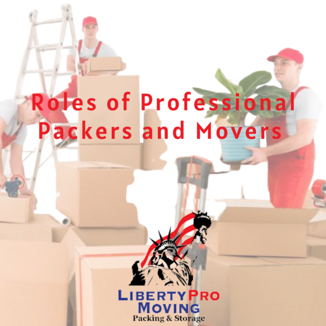 Professional Packers and movers in Canton
